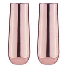 Rose Aurora Stemless Champagne Glasses (Set of 2)